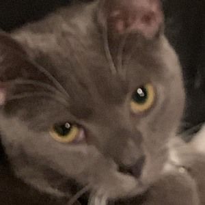 Meet your Posher, Christopher